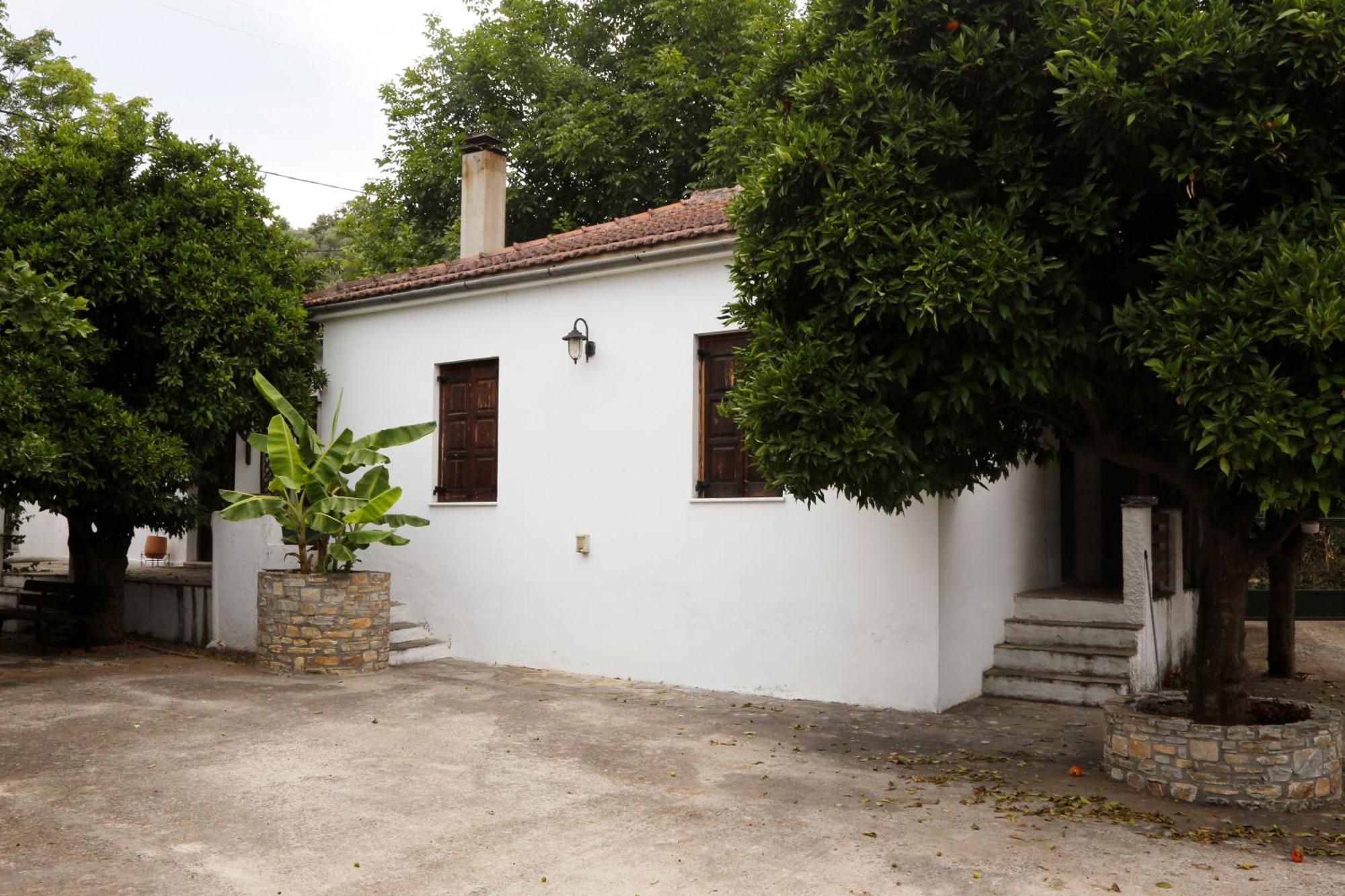 הוילה צ'ורטו Lemon Tree House מראה חיצוני תמונה